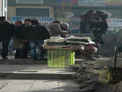Soğuk, yüzlerini güldürdü